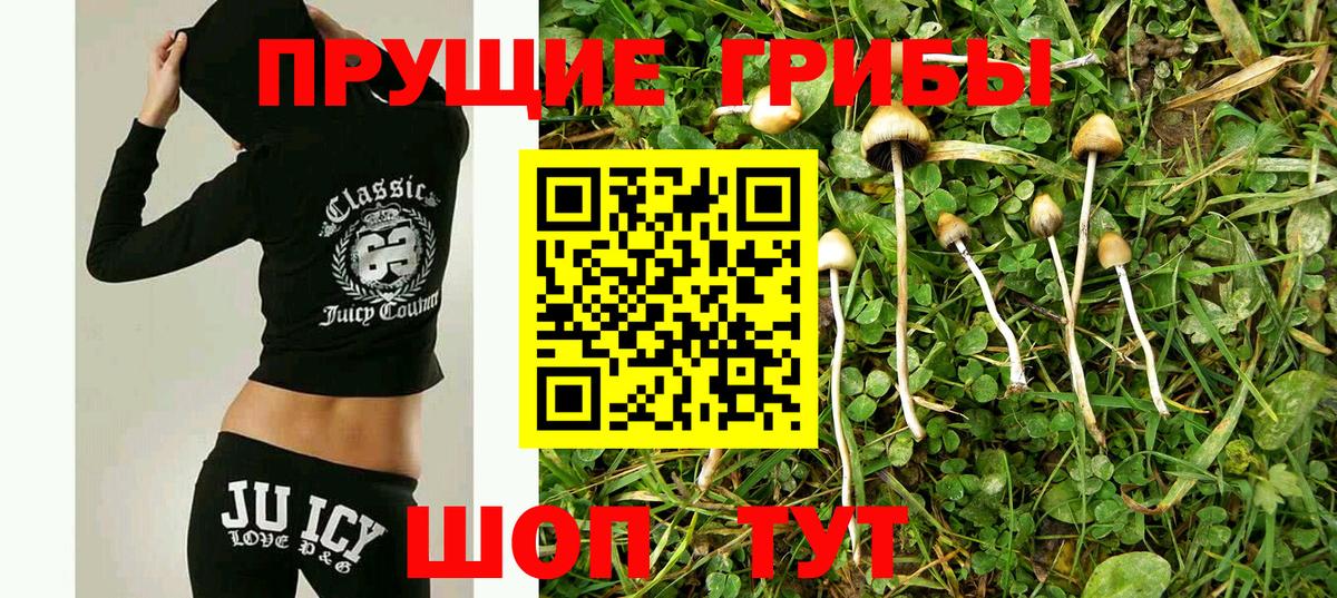 Анапа  Галлюциногенные грибы Cubensis  Галлюциногенные грибы Magic Shrooms  Вход с VPN 