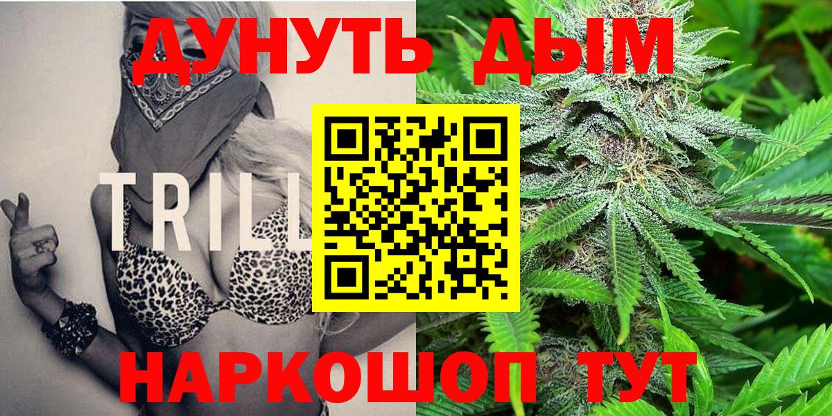 Бошки Шишки планчик Анапа
